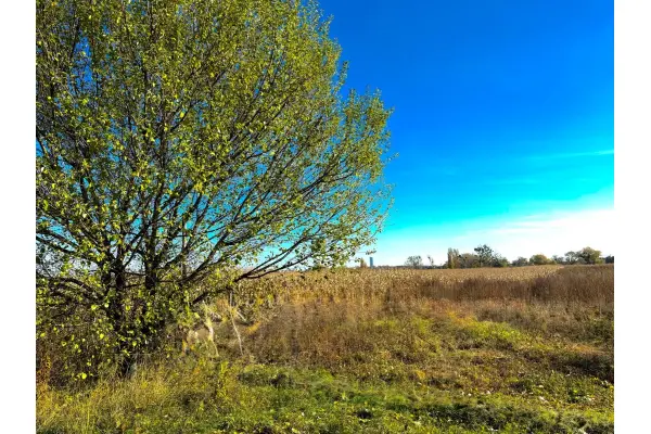 dolnośląskie, Wrocław, Wrocław-Fabryczna, Wrocław - Muchobór Wielki -działka  wypoczynkowa