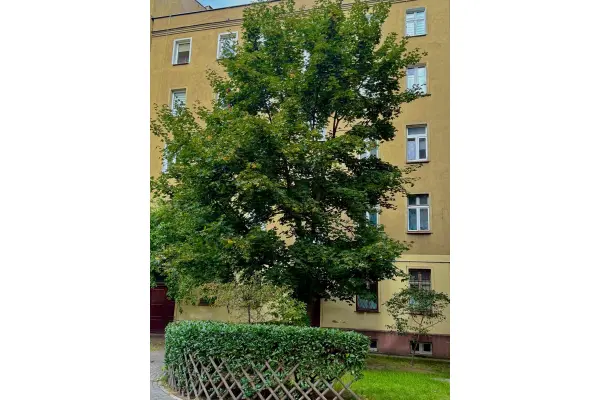 Wrocław, dolnośląskie, Mieszkanie na sprzedaż