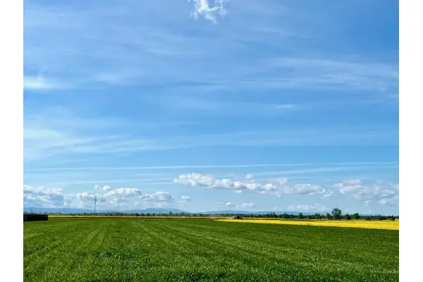 opolskie, brzeski, Grodków, Działka na sprzedaż