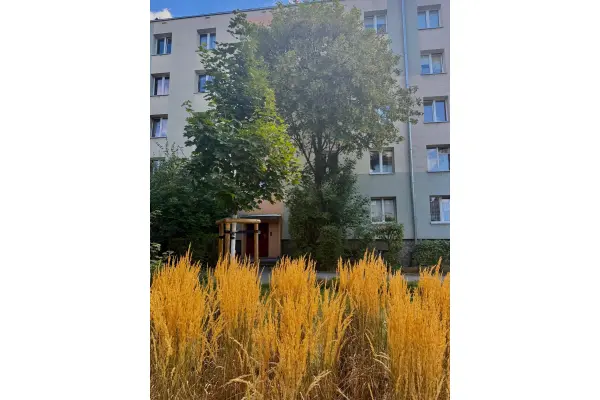 dolnośląskie, Wrocław, Wrocław-Fabryczna, Słonceczne mieszkanie w centrum miasta